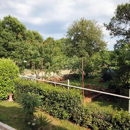 Guest house Apartments And Rooms With Parking Space Njivice, Krk - 5398 Njivice